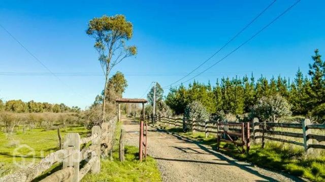 Parcelas en ñuble de 5000m2
