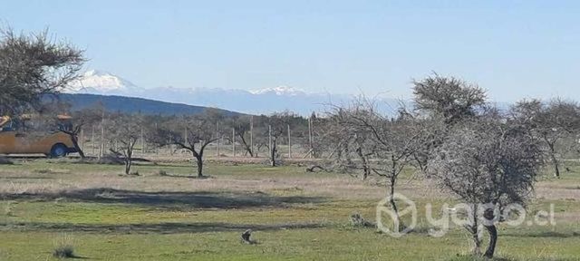 Parcela en séptima región 5000 m2