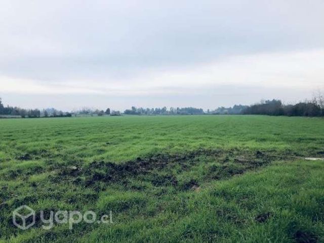 Parcela 10 ha Santa Graciela, Las Rastras, Talca