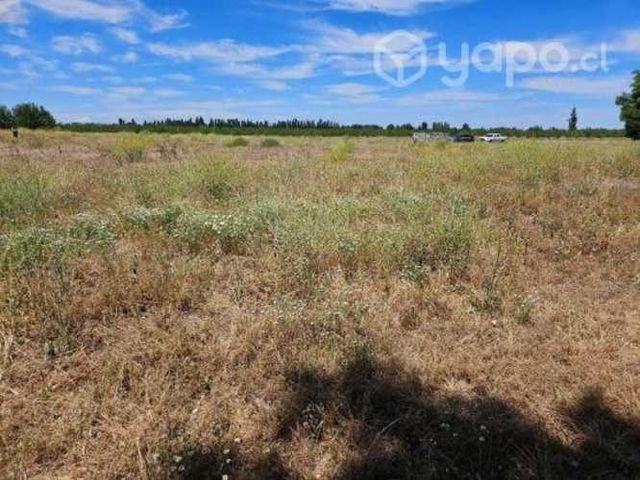 Terreno 3.600 mts2 en sector Libuy, Quillón