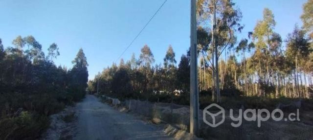 Parcela en Ancud - Chiloé