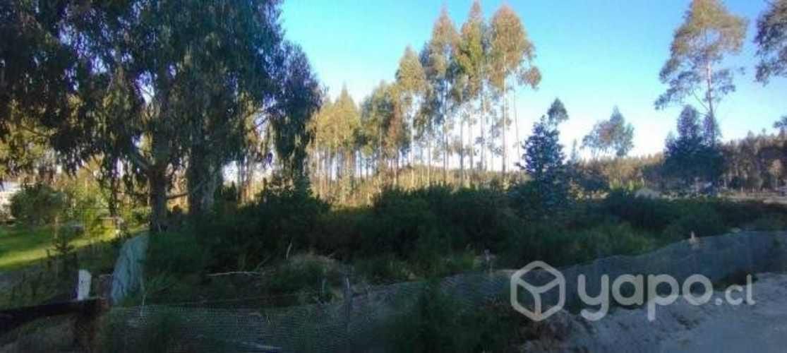 Parcela en Ancud - Chiloé