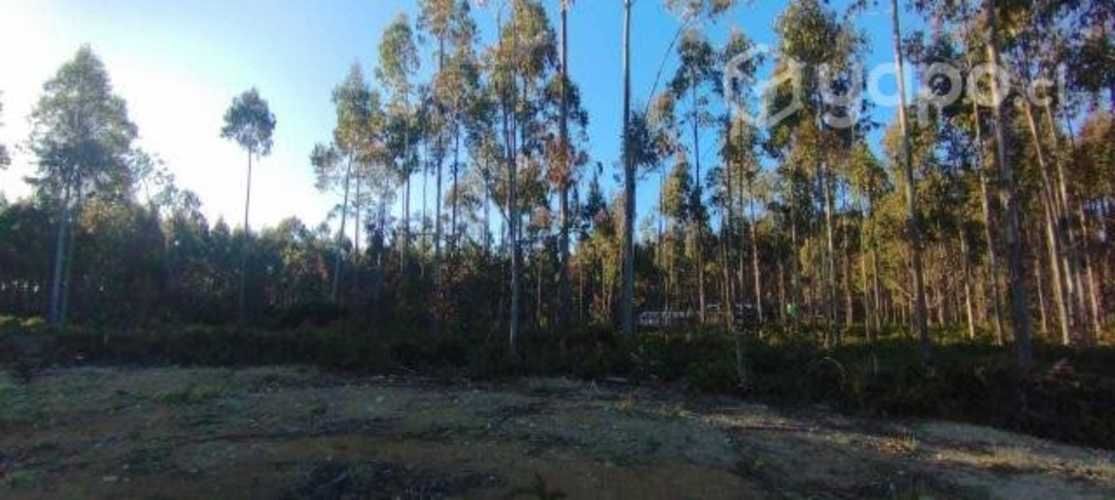 Parcela en Ancud - Chiloé