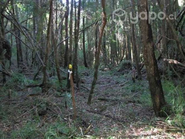 Parcelas ecológicas en Valdivia ,sector Casablanca