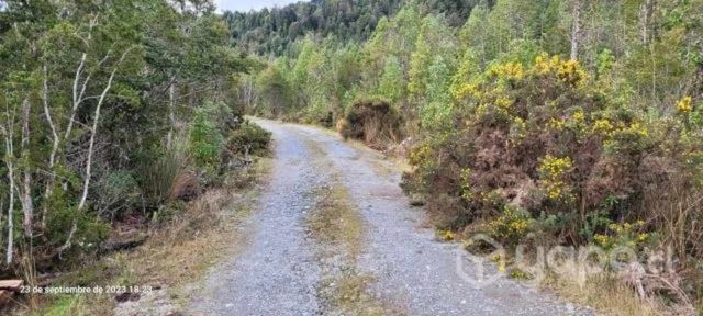 Remato por apuro Parcela Sector Sargazo