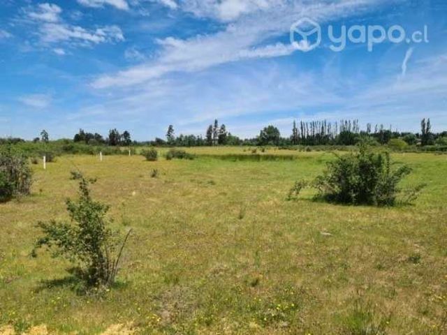 Vendo terrero en Quillón. 45.500.000._