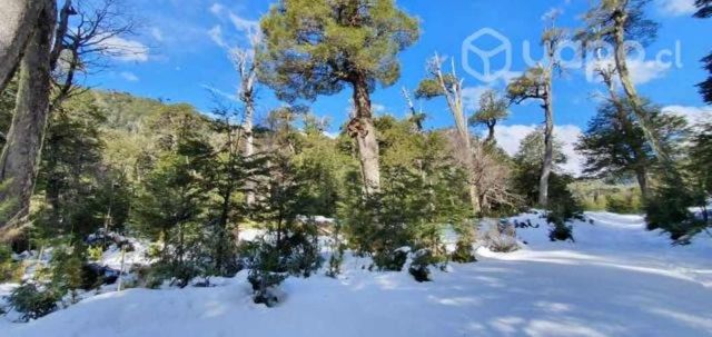 Parcela 5000 mtrs orilla de estero