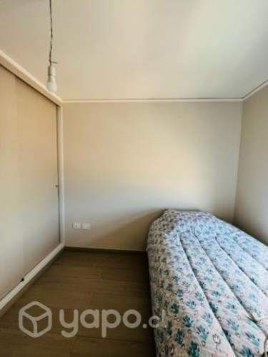 Amplio departamento 3 dormitorios Edificio Roble