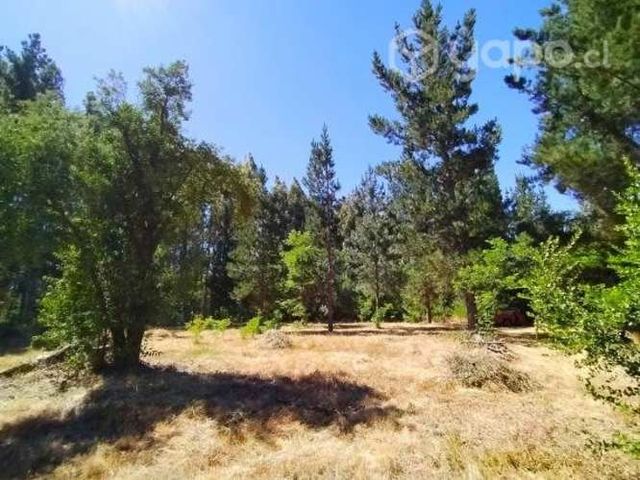 Parcela a 24 km de los angeles, 1 hectarea