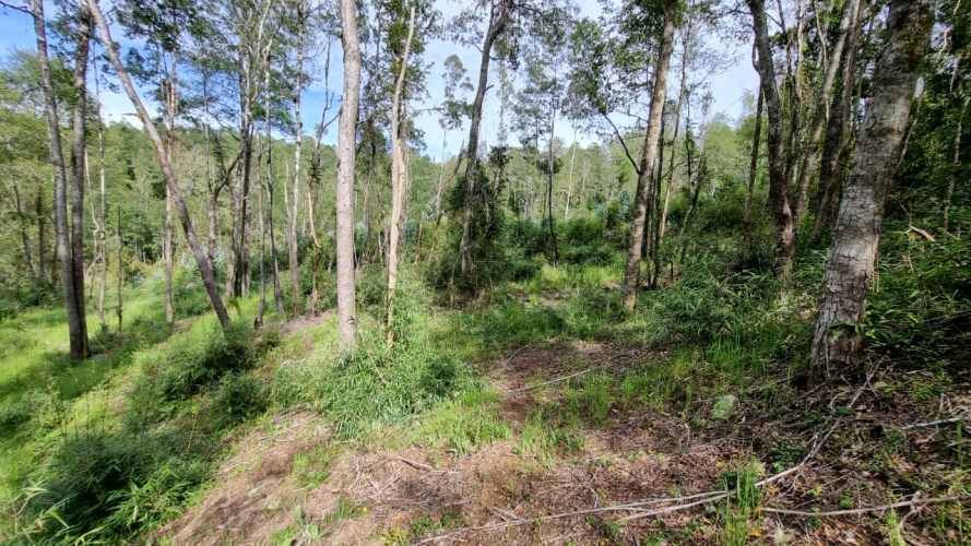 PARCELA URBANIZADA SECTOR CAYUMAPU Valdivia