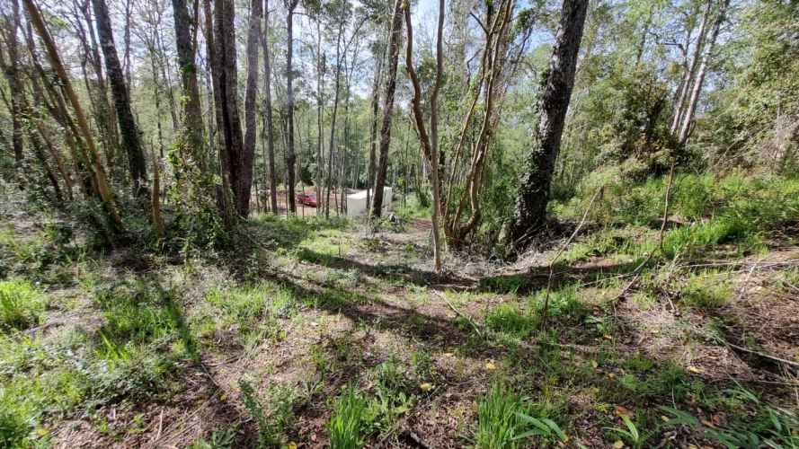 PARCELA URBANIZADA SECTOR CAYUMAPU Valdivia