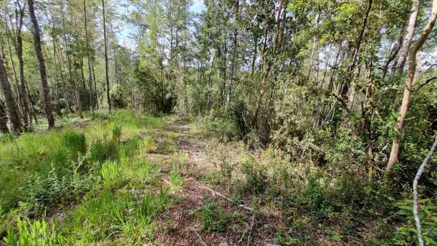 PARCELA URBANIZADA SECTOR CAYUMAPU Valdivia