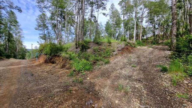 PARCELA URBANIZADA SECTOR CAYUMAPU Valdivia