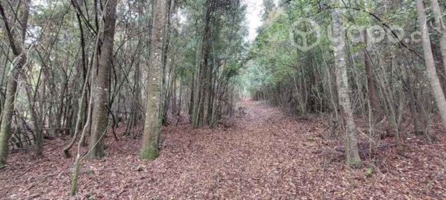 Terreno de 5000mil metros cuadrados