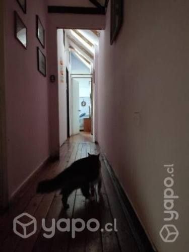 Casa 3d 1b San Bernardo