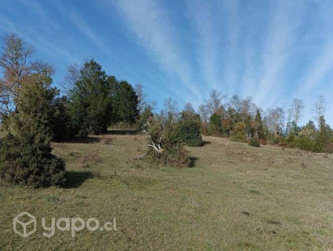 &#127795;Parcela Ecológicas San Ramón.&#127795;