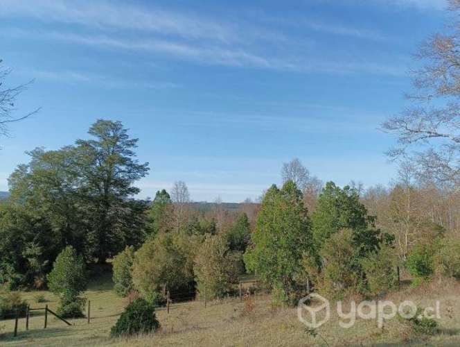 &#127795;Parcela Ecológicas San Ramón.&#127795;