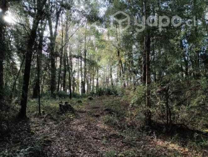 &#127795;Parcela Ecológicas San Ramón.&#127795;