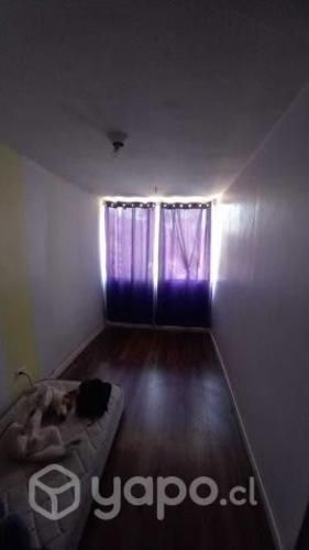 Habitación en Colectivo Feminista