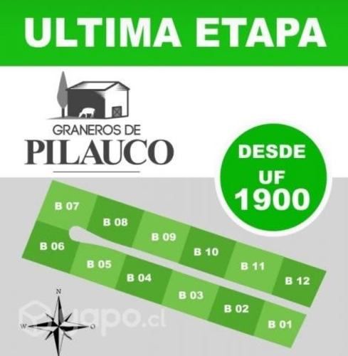 Loteo Graneros de Pilauco