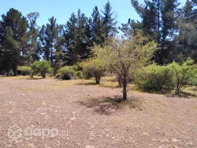 Parcela 7000m² san enrique, santo domi