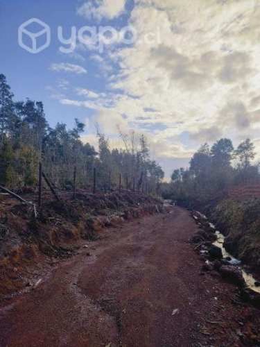 Vendo o permuto terreno