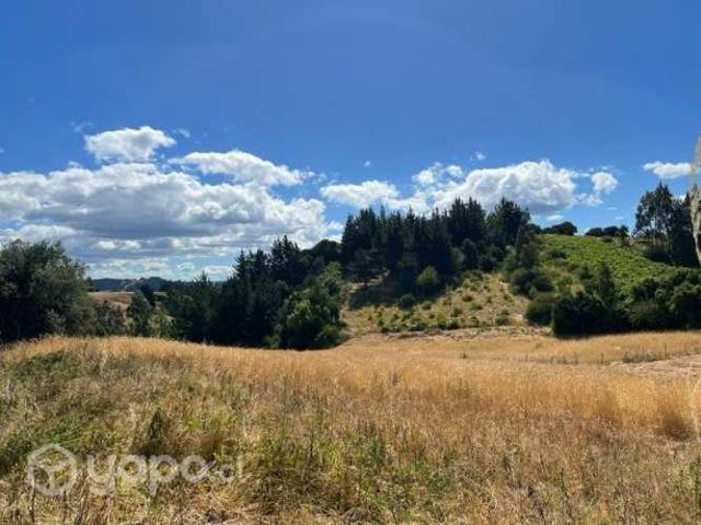 Terreno de 73.100 m2 Yumbel
