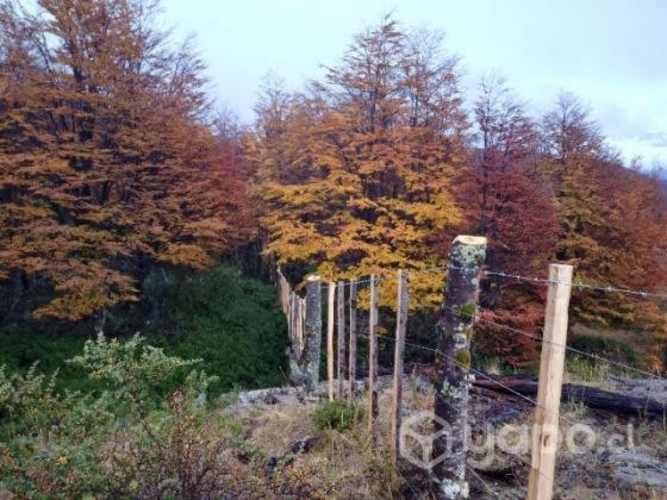 Parcela sector lago Largo