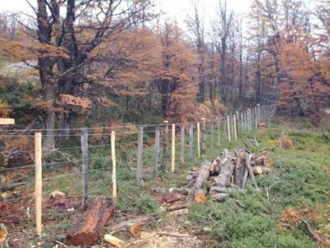 Parcela sector lago Largo