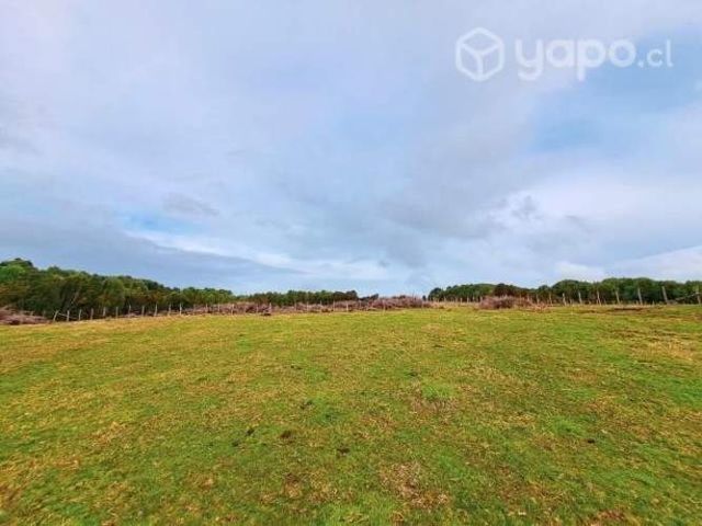 Venta de parcelas en isla Butachauques