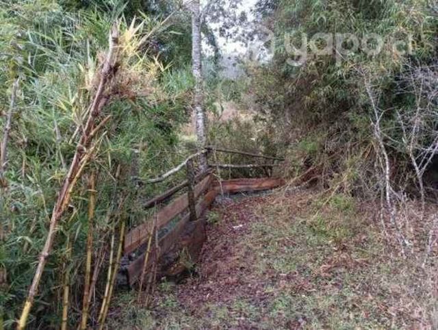 Campo en Sector Trosco, San Juan de la Costa