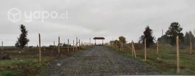 Parcela Yumbel 5.000 mts