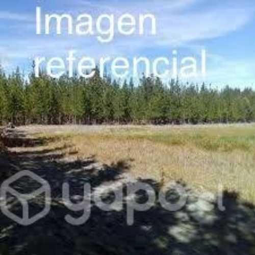 Sitios Campanario - comuna de Yungay