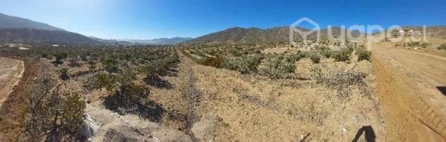 Terreno en las Animas del Rosario, valle del