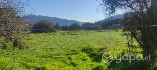 Parcela de agrado - curacaví