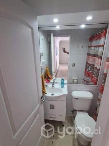 Se arrienda departamento año corrido