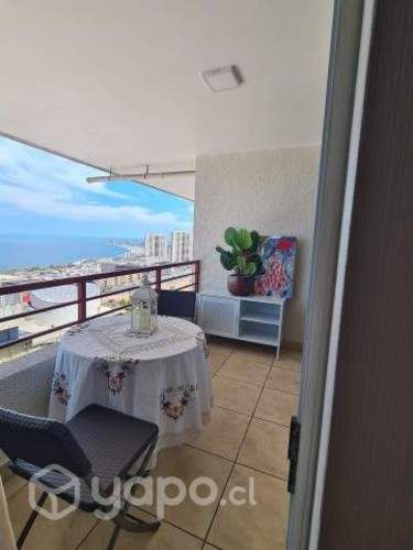 Se arrienda departamento año corrido