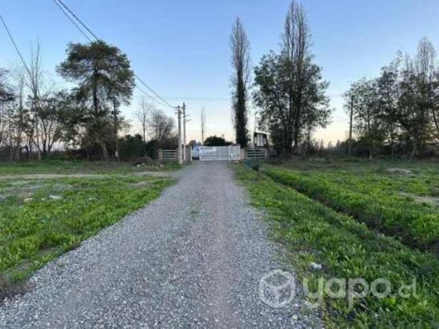 Parcela rancagua Moranina