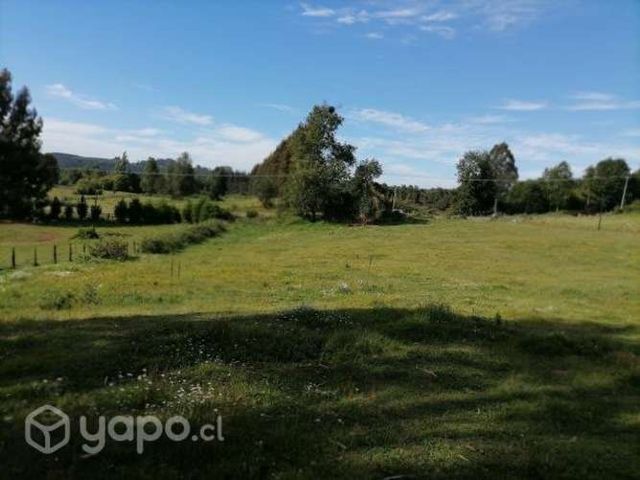 Parcela orilla de camino Lautaro- Cherquenco