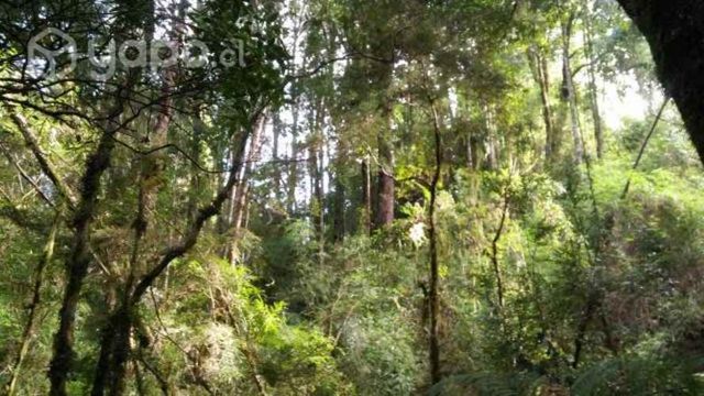 Encantadora parcela en Valdivia