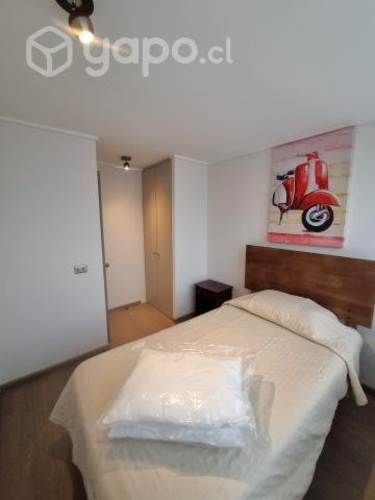 Arriendo departamento Amoblado