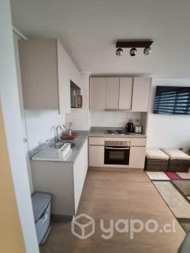 Arriendo departamento Amoblado