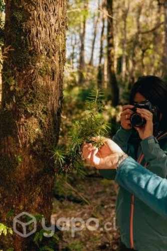 Parcela en Puerto Montt