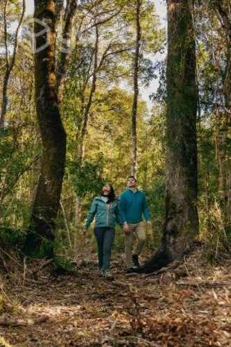 Parcela en Puerto Montt