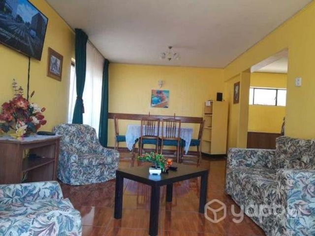 Universitarios marzo a diciembre 2025