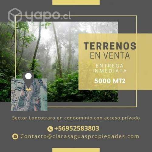 Parcelas exclusicas loncotraro nativo