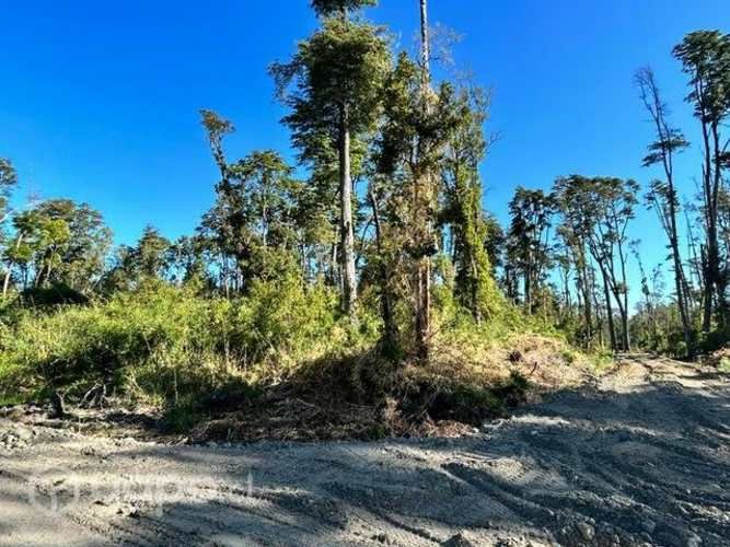 Hermosa Parcela en comuna de Puyehue