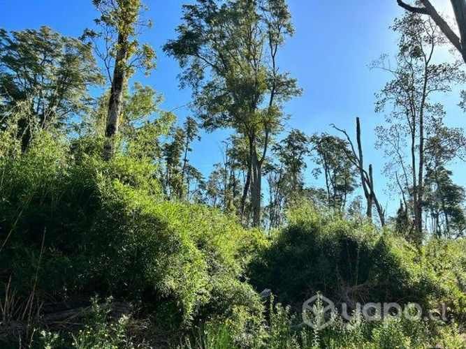 Hermosa Parcela en comuna de Puyehue