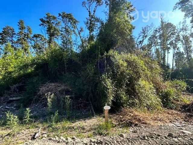 Hermosa Parcela en comuna de Puyehue