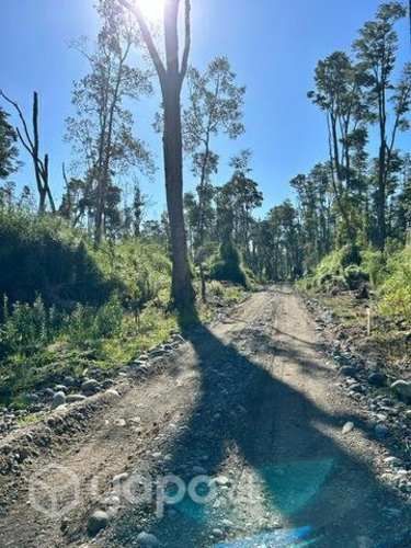 Hermosa Parcela en comuna de Puyehue
